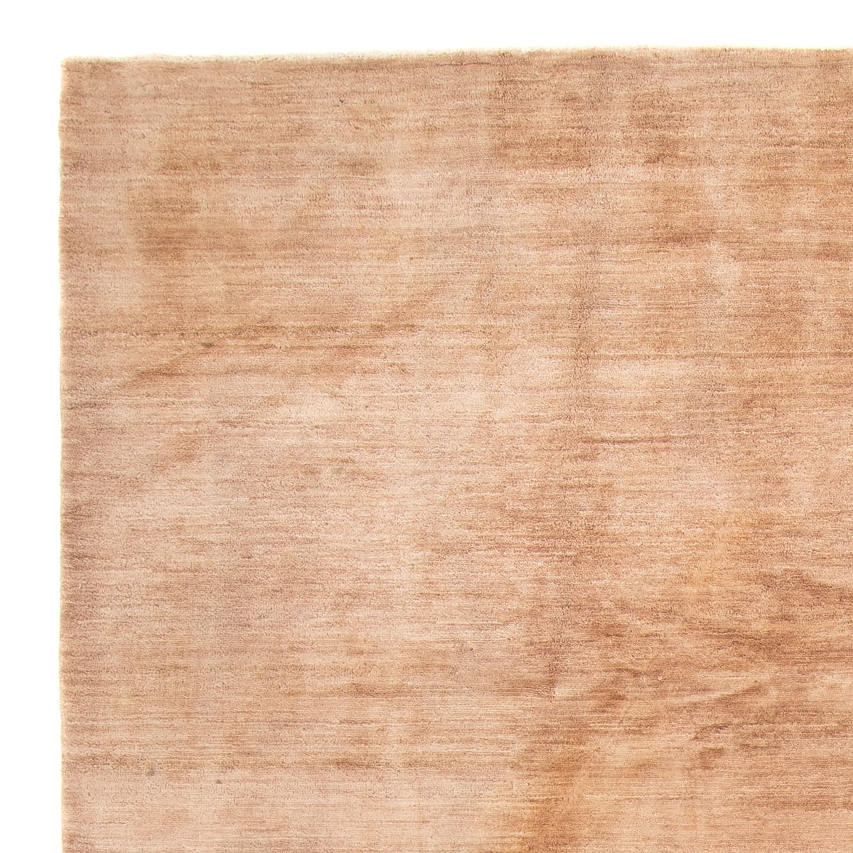 Ziegler Modern Teppich 200x300cm - Orientteppich - beige