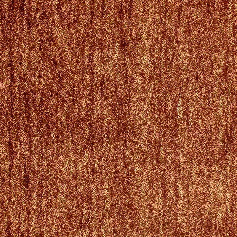 Gabbeh Teppich Indus 56x86cm - Wollteppich