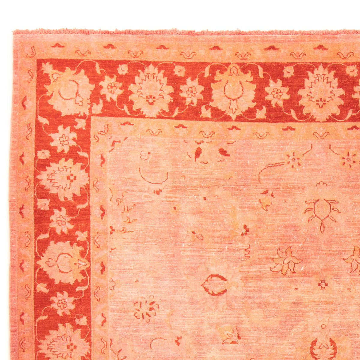 Ziegler Teppich 242x300cm - Orientteppich