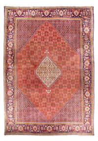 Bidjar Teppich 310x420cm - Perserteppich - terrakotta – product image