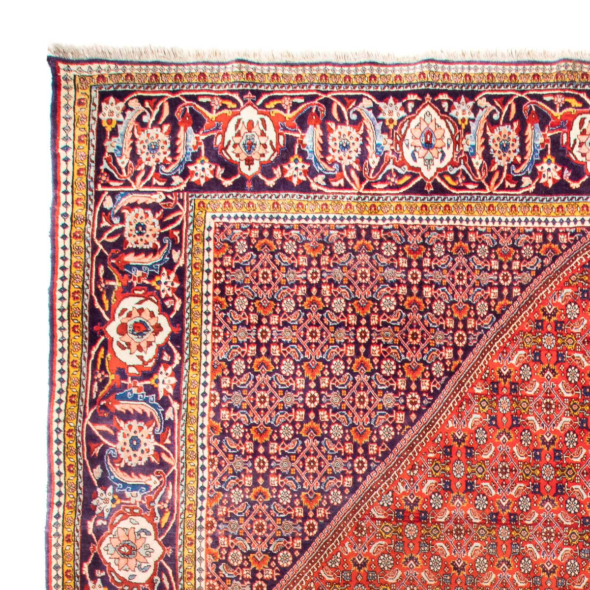 Bidjar Teppich 310x420cm - Perserteppich - terrakotta