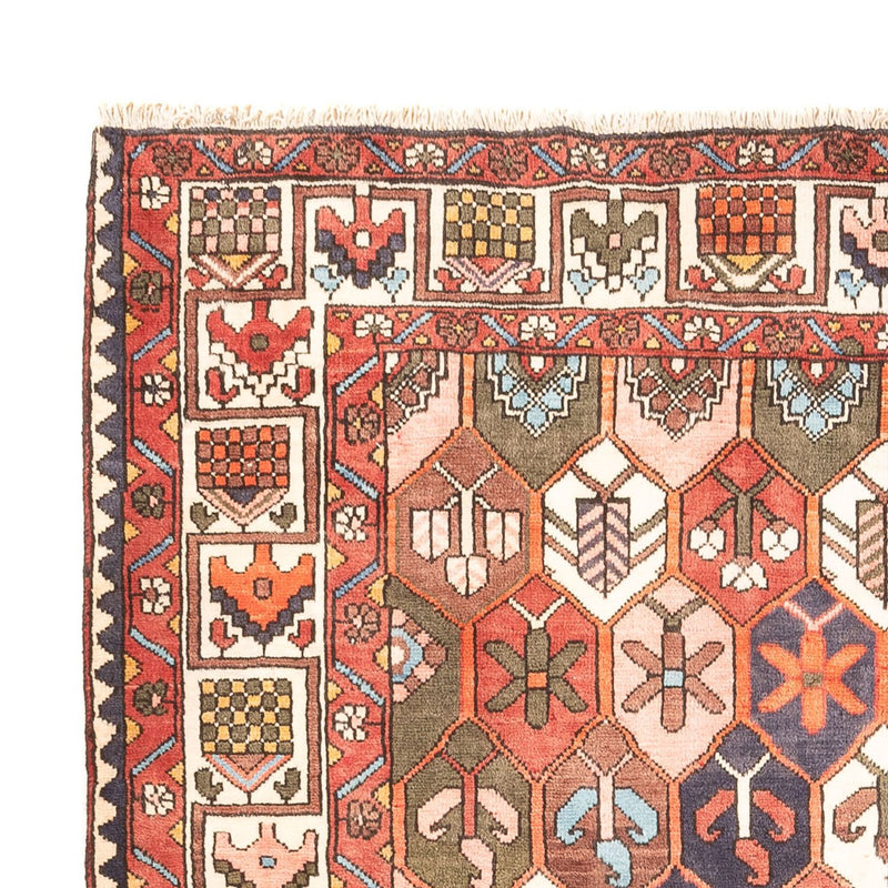 Bachtiar Teppich 215x305cm - Perserteppich - mehrfarbig