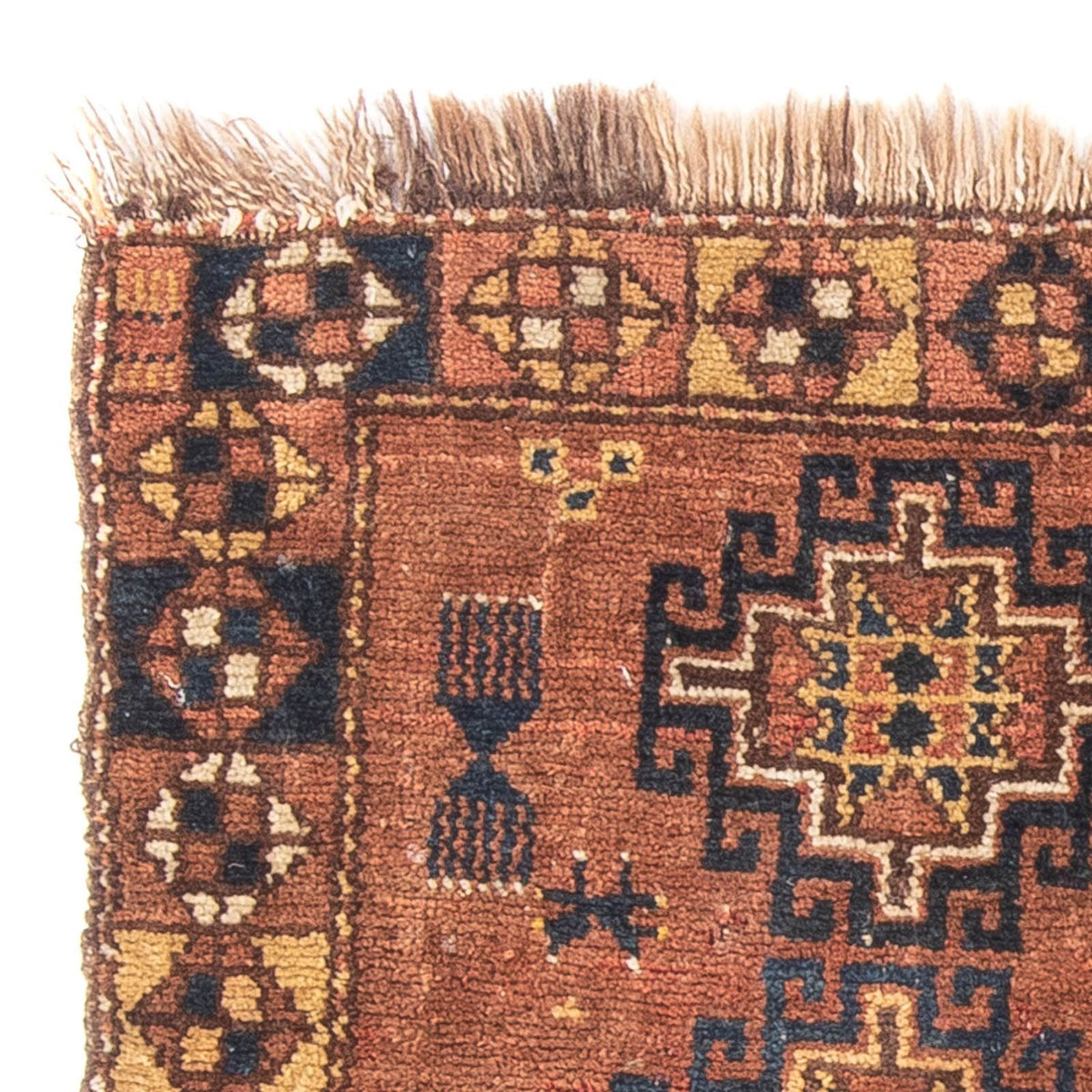 Belutsch Teppich 60x105cm - Orientteppich - braun