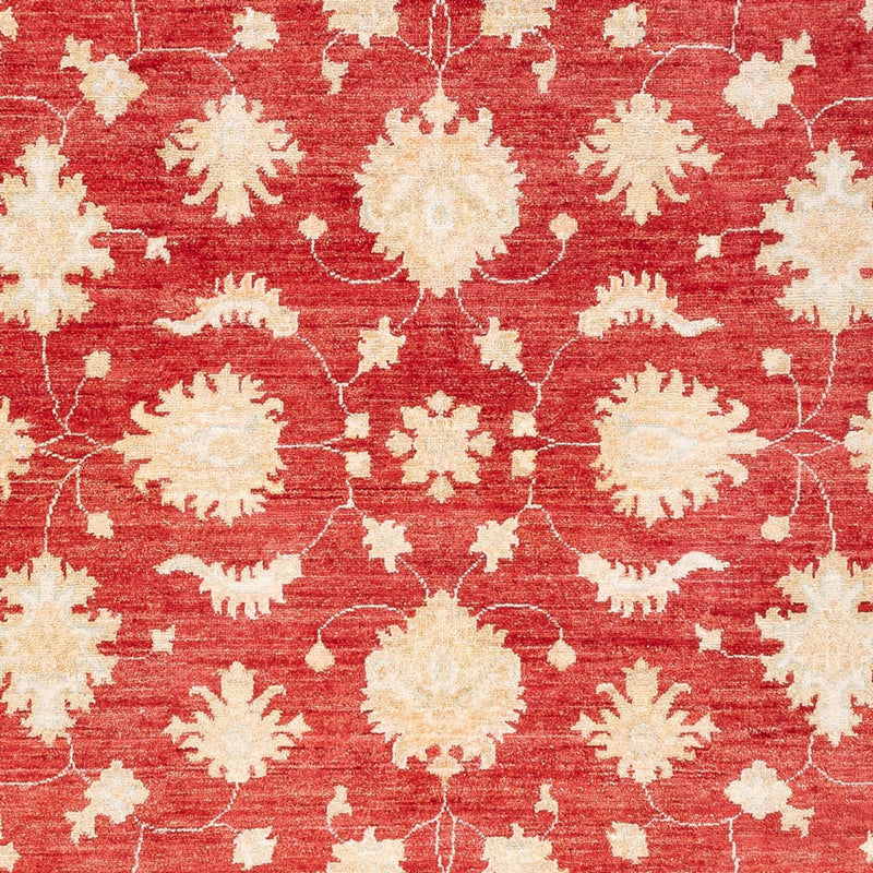 Ziegler Teppich - 175 x 240 cm - rot