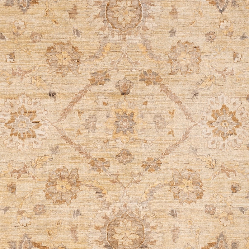Ziegler Teppich 244x290cm - Orientteppich - beige