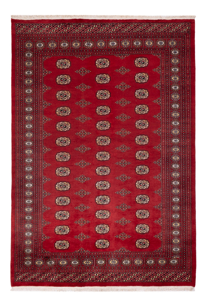 Pakistan Teppich 165x235cm - Orientteppich - rot