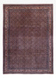 Bidjar - Takab Teppich 252x349cm - Perserteppich - dunkelbeige