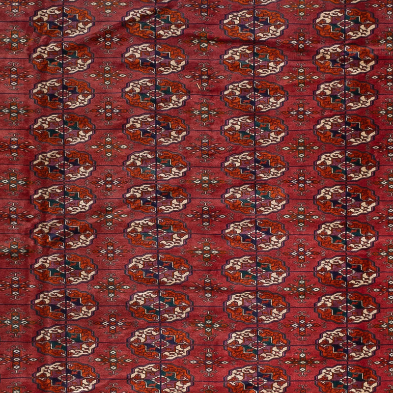 Afghan Teppich - Buchara - 340 x 450 cm - rot