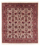 Bidjar - Takab Teppich 153x159cm - Perserteppich - beige