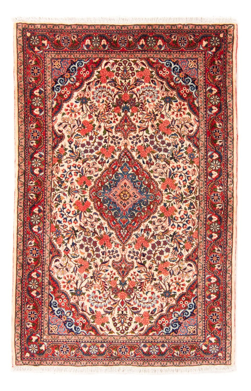 Jozan Teppich 104x162cm - Perserteppich - mehrfarbig