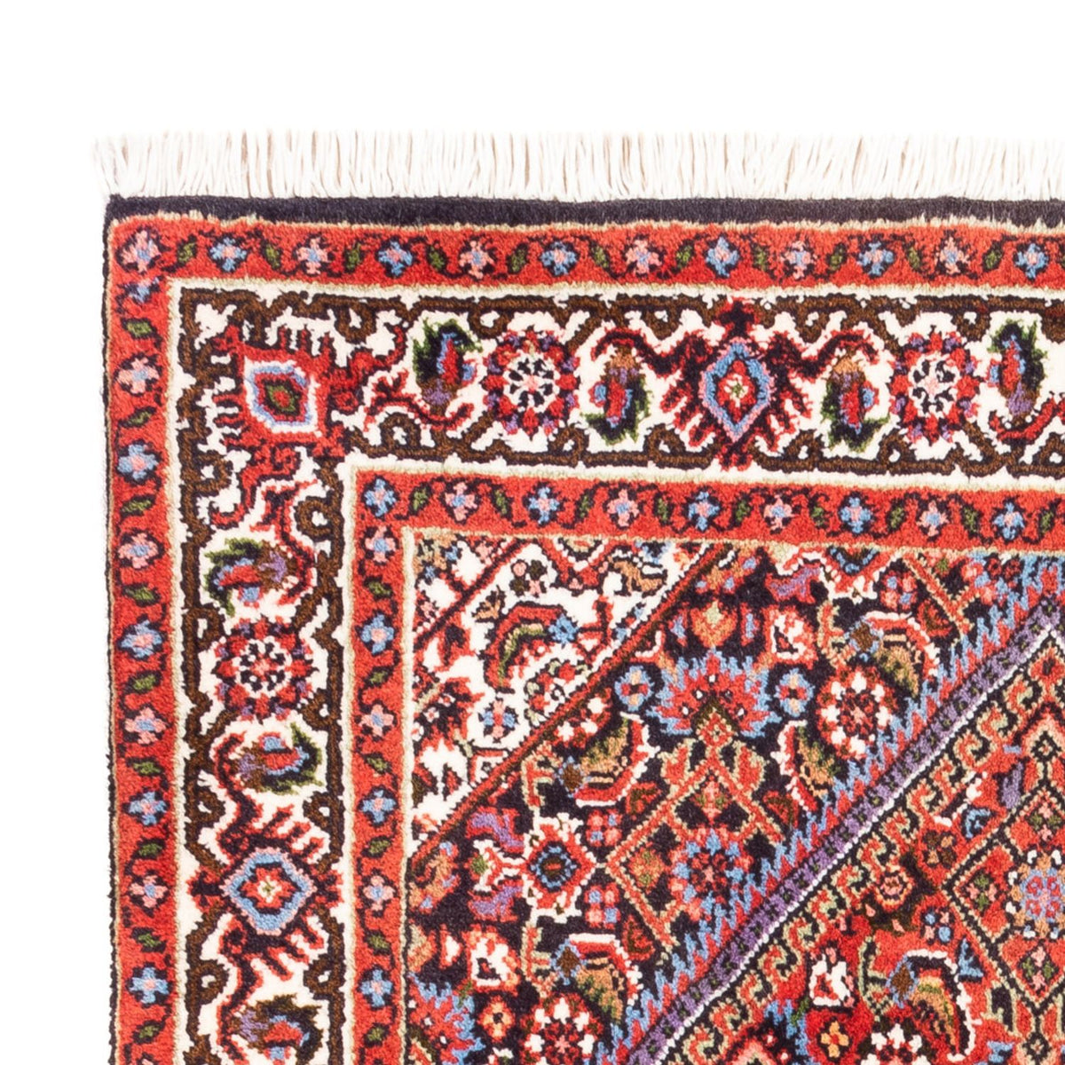 Bidjar - Bukan Teppich 70x104cm - Perserteppich - rot