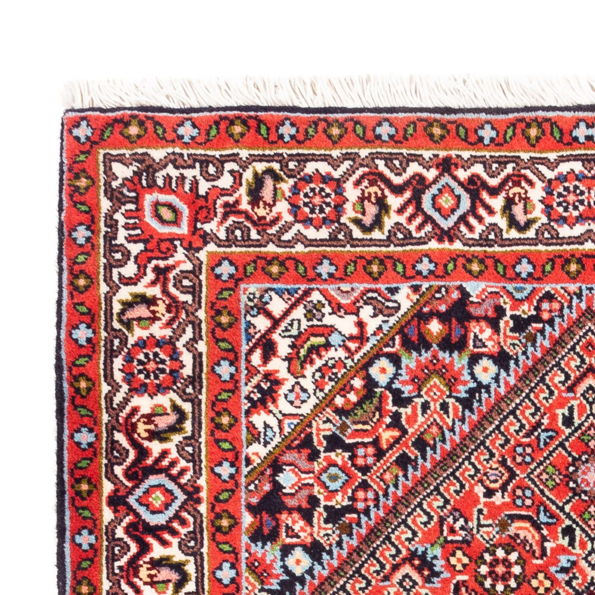 Bidjar - Bukan Teppich 70x103cm - Perserteppich - rot