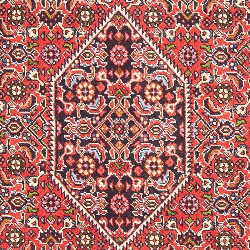 Bidjar - Bukan Teppich 82x152cm - Perserteppich - rot