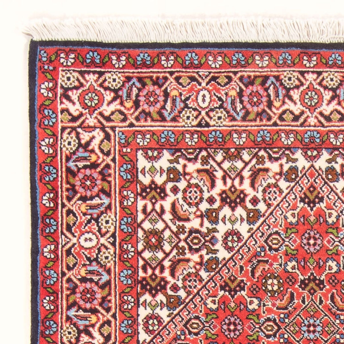 Bidjar - Bukan Teppich 82x152cm - Perserteppich - rot