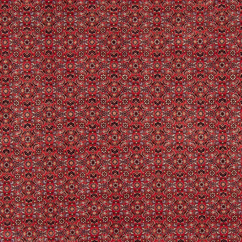 Bidjar Teppich 217x272cm - Perserteppich - dunkelrot