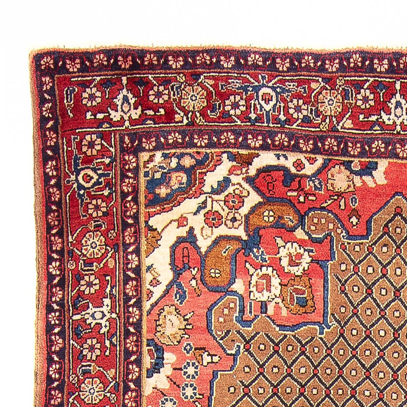 Kolyai Teppich 150x285cm - Perserteppich - mehrfarbig