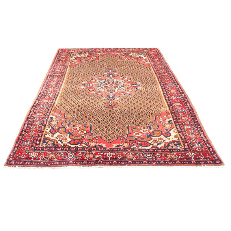 Kolyai Teppich 150x285cm - Perserteppich - mehrfarbig
