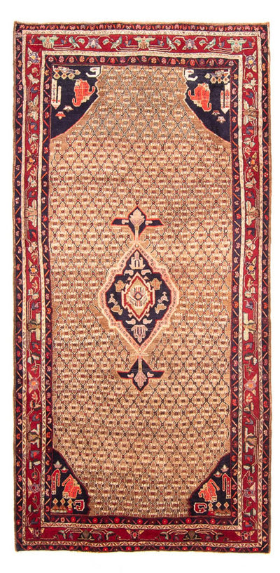 Kolyai Teppich 160x310cm - Perserteppich - mehrfarbig