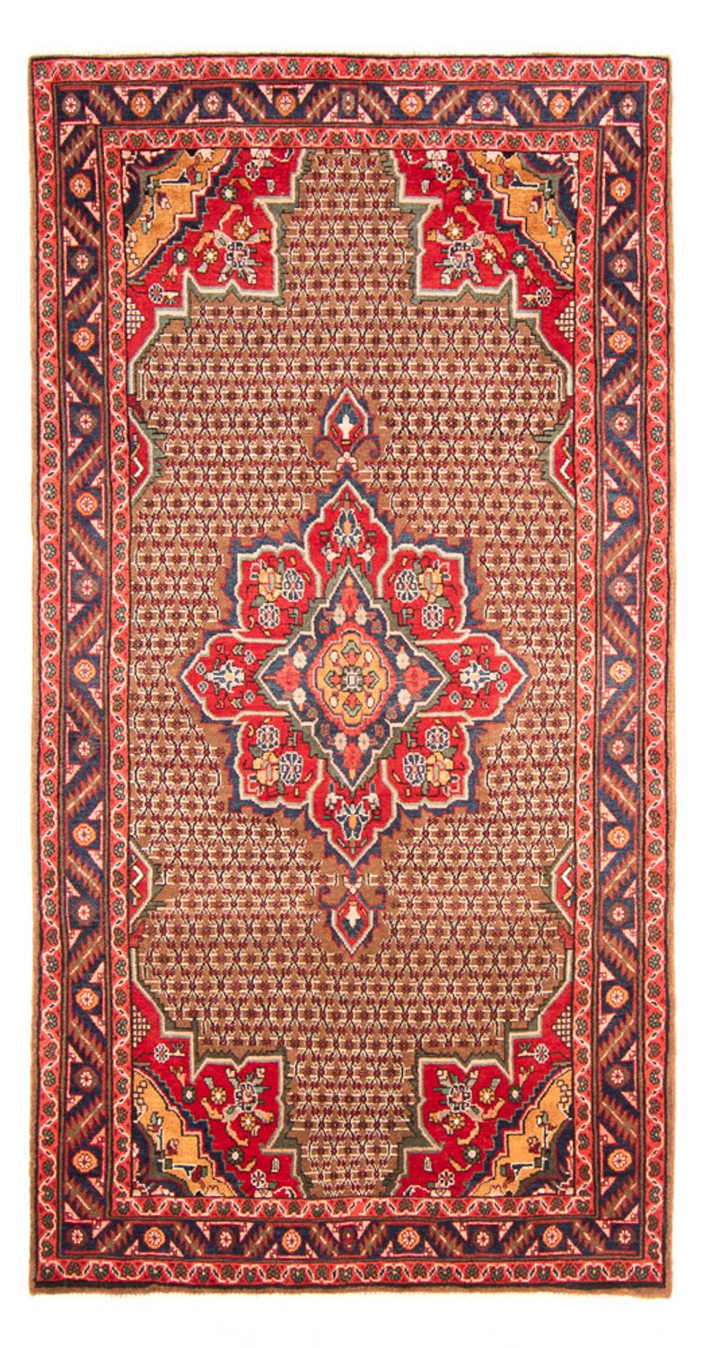 Kolyai Teppich 155x285cm - Perserteppich - mehrfarbig