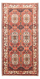Bachtiar Teppich 166x300cm - Perserteppich - rot
