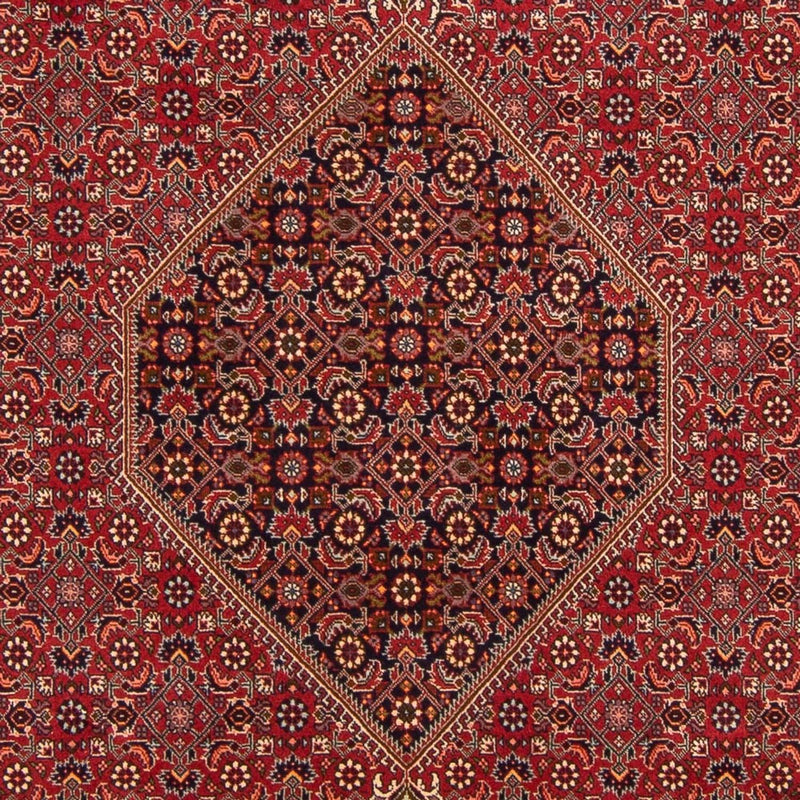Bidjar - Bukan Teppich 201x300cm - Perserteppich - rot