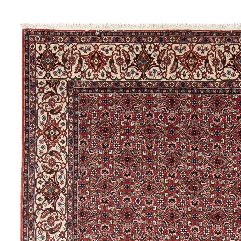 Bidjar - Bukan Teppich 248x296cm - Perserteppich - dunkelrot