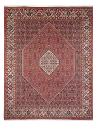 Bidjar - Bukan Teppich 250x337cm - Perserteppich - dunkelrot – product image