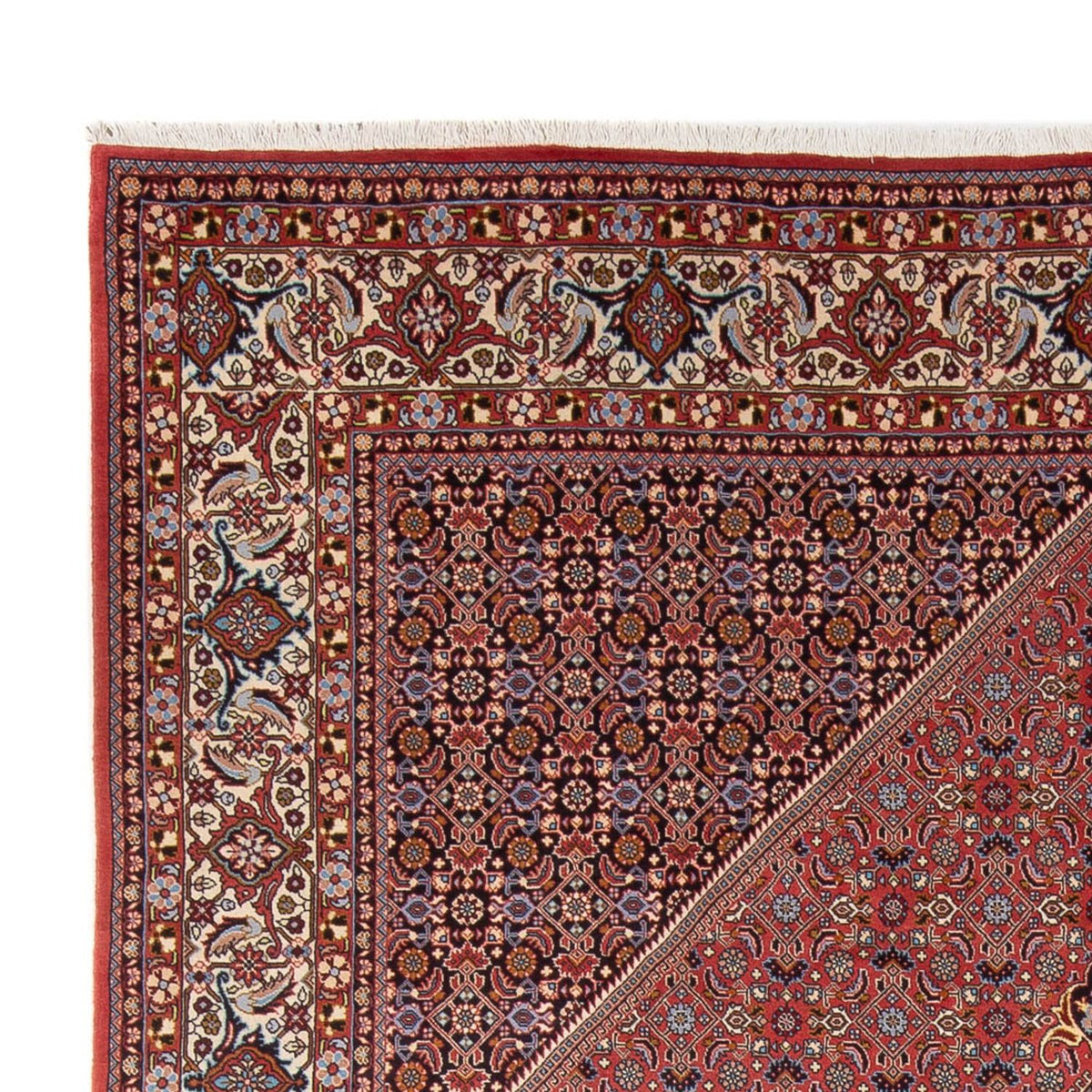 Bidjar - Bukan Teppich 250x337cm - Perserteppich - dunkelrot