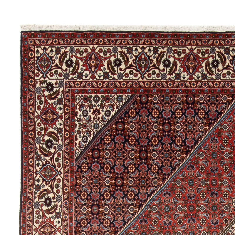 Bidjar - Bukan Teppich 243x290cm - Perserteppich - rost