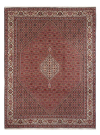 Bidjar - Bukan Teppich 247x343cm - Perserteppich - rost – product image
