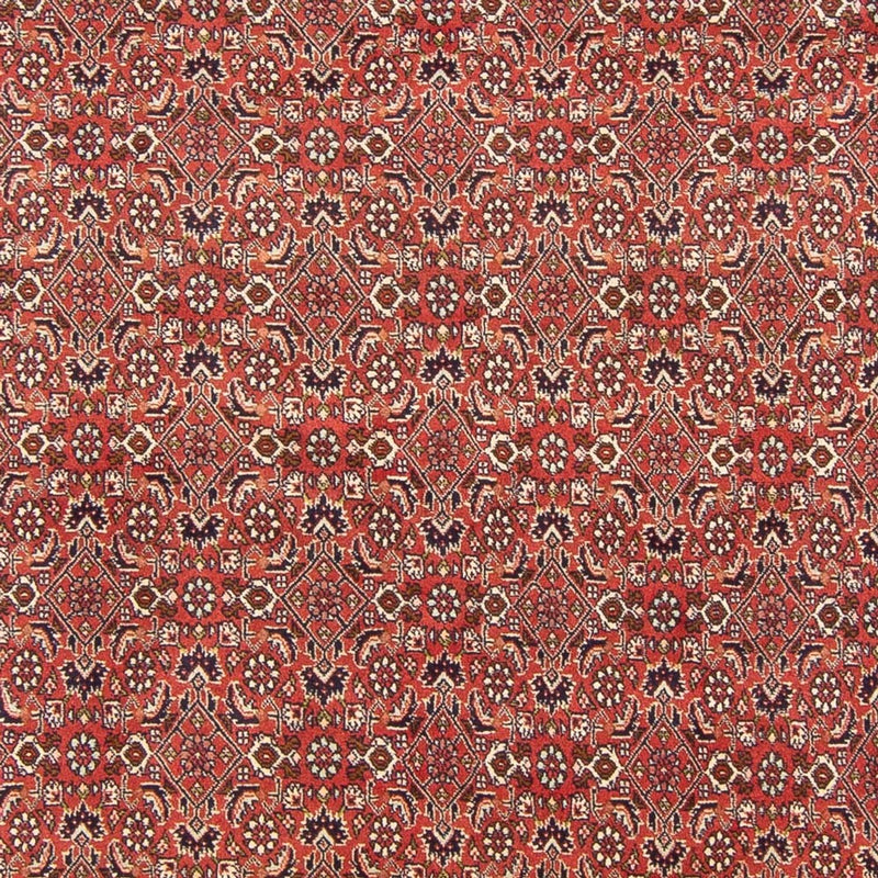 Bidjar - Bukan Teppich 200x305cm - Perserteppich - rot