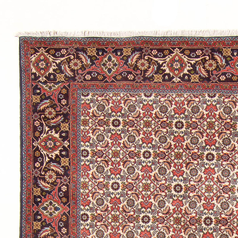 Bidjar - Bukan Teppich 200x294cm - Perserteppich - creme