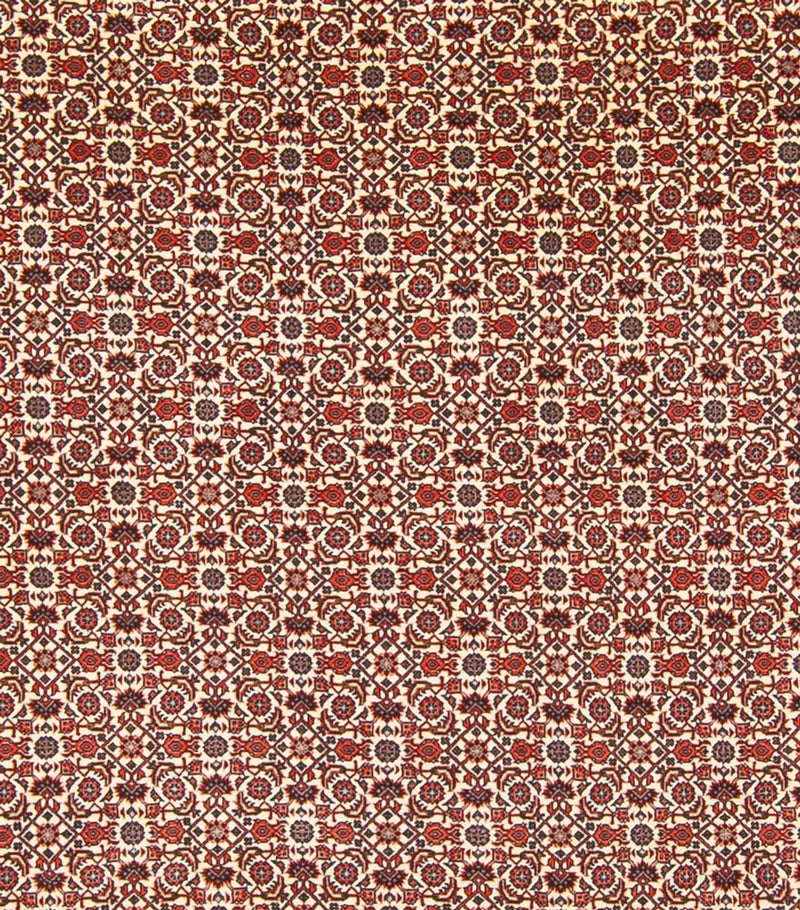 Bidjar - Bukan Teppich 260x343cm - Perserteppich - creme