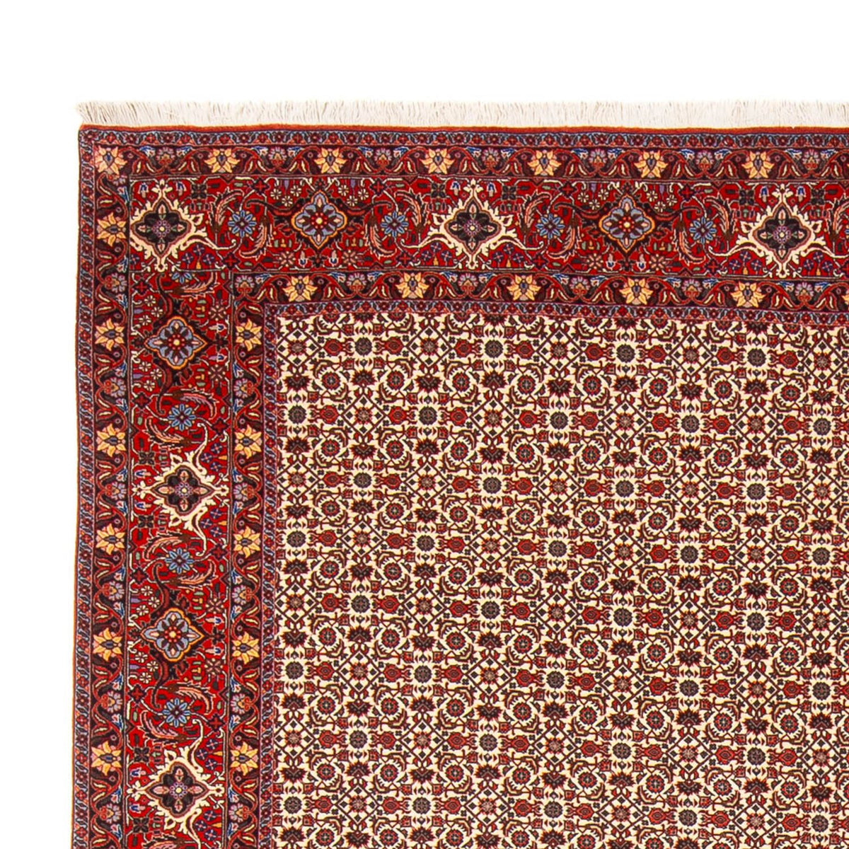 Bidjar - Bukan Teppich 260x343cm - Perserteppich - creme