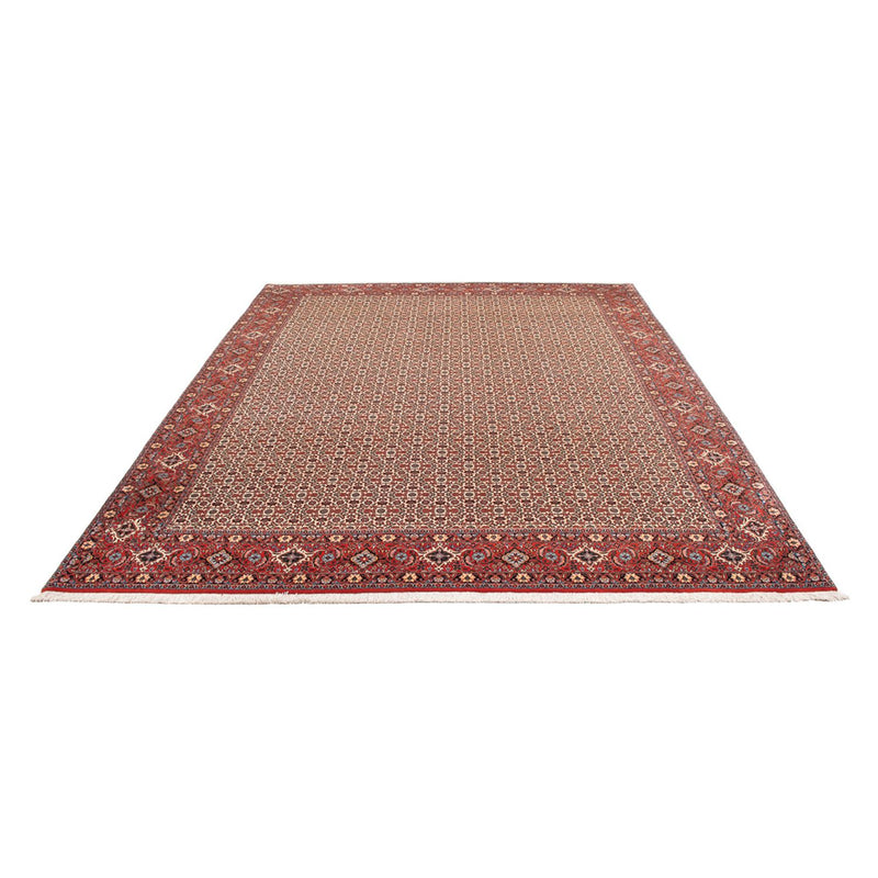 Bidjar - Bukan Teppich 260x343cm - Perserteppich - creme