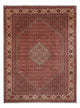 Bidjar - Bukan Teppich 250x340cm - Perserteppich - dunkelrot