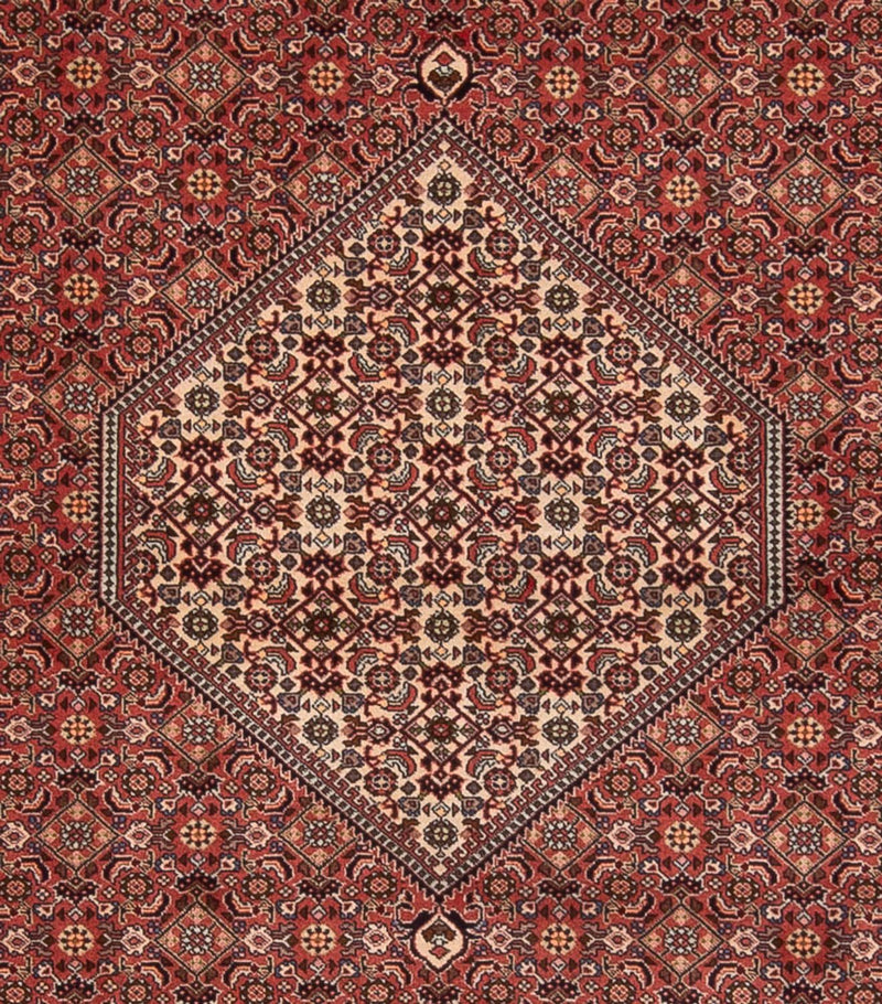 Bidjar - Bukan Teppich 250x340cm - Perserteppich - dunkelrot