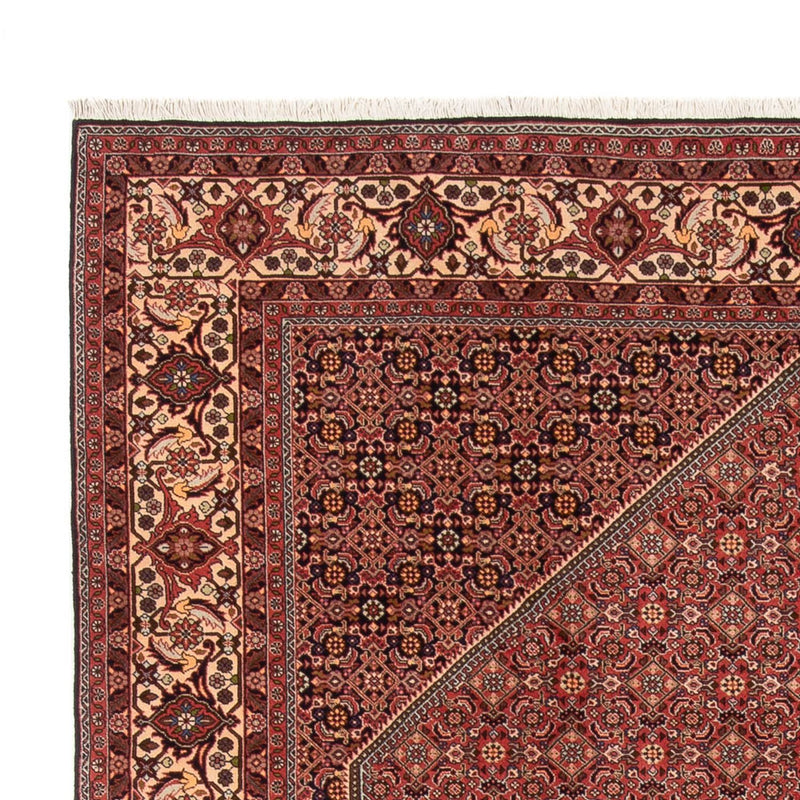 Bidjar - Bukan Teppich 250x340cm - Perserteppich - dunkelrot