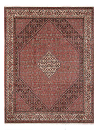 Bidjar - Bukan Teppich 248x334cm - Perserteppich - hellrot – product image
