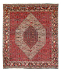 Bidjar - Takab Teppich 253x300cm - Perserteppich - creme – product image