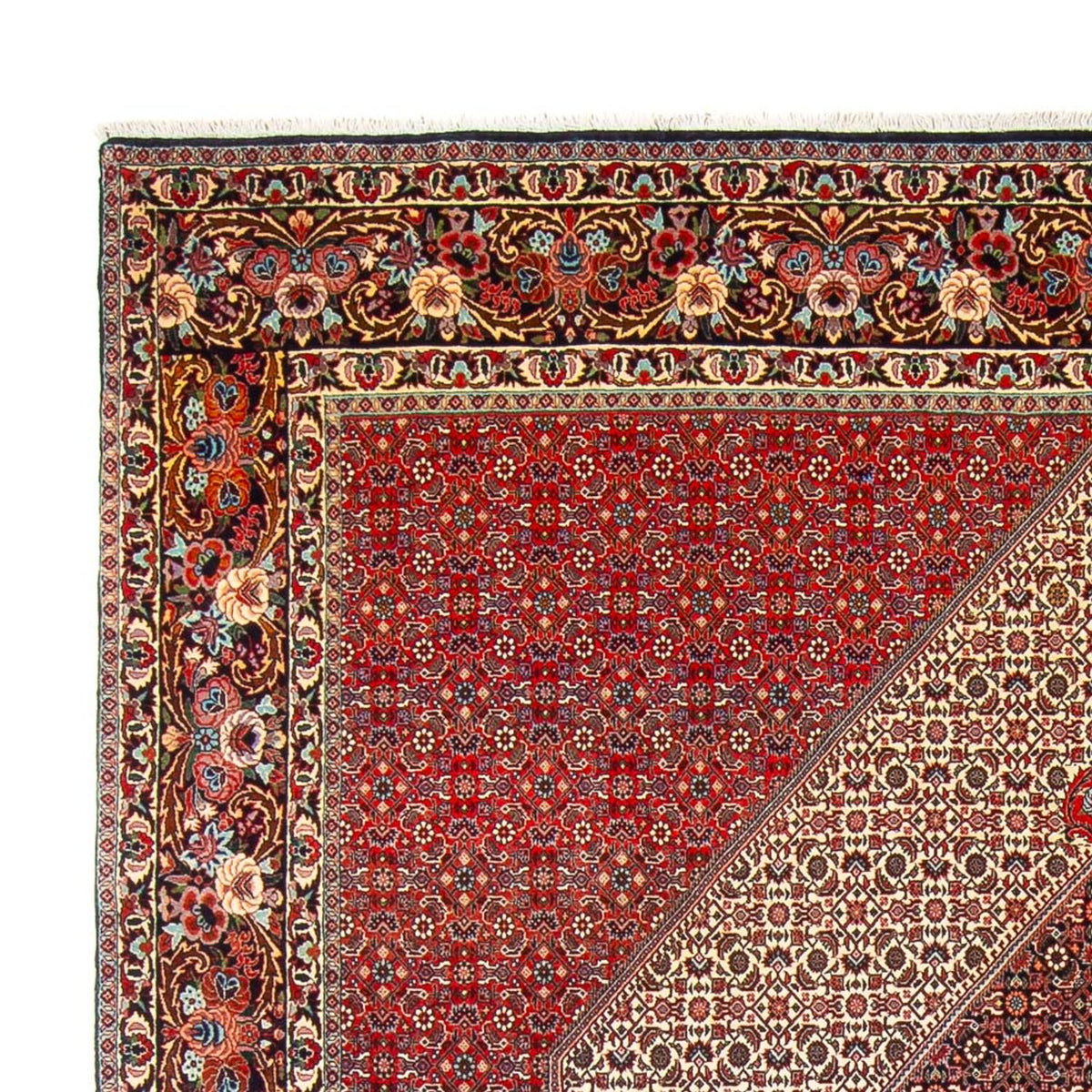 Bidjar - Takab Teppich 253x300cm - Perserteppich - creme