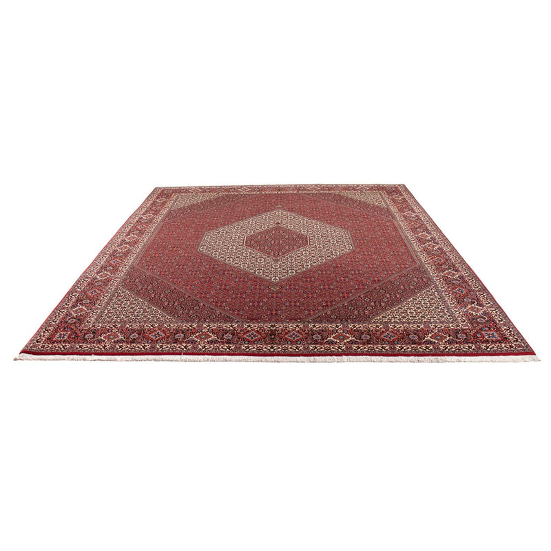 Bidjar - Takab Teppich 253x301cm - Perserteppich - creme