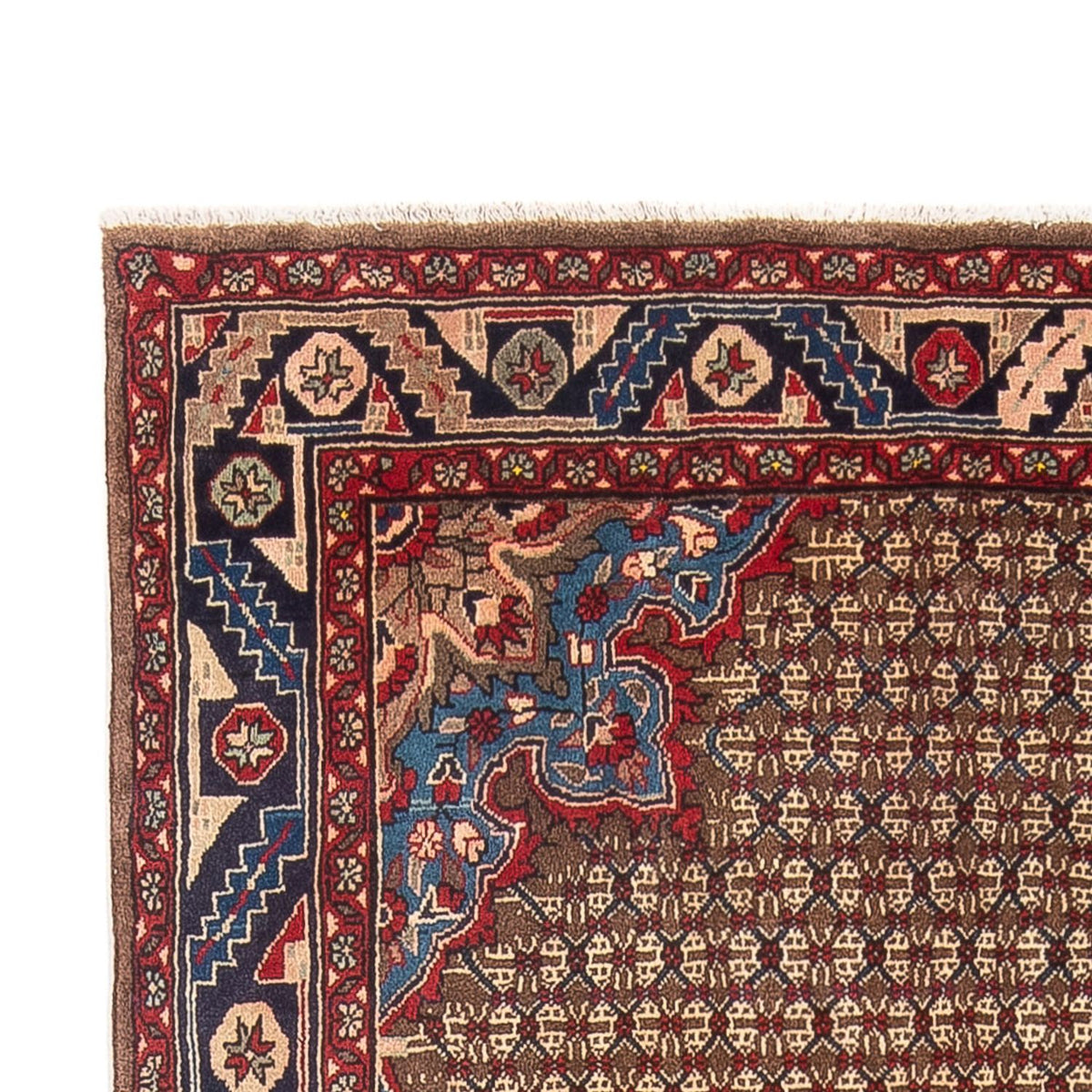 Kolyai Teppich 157x306cm - Perserteppich - dunkelbeige