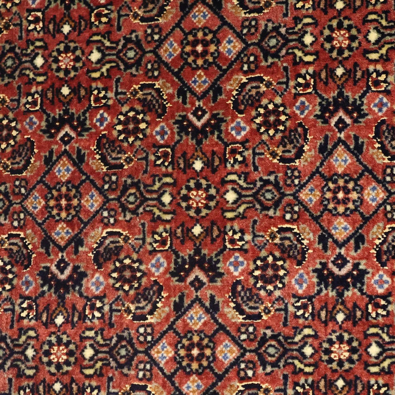 Bidjar Teppich 72x142cm - Perserteppich - dunkelbeige