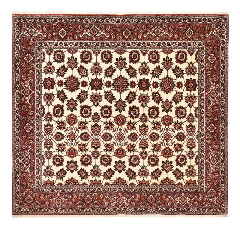 Bidjar - Zanjan Teppich 241x255cm - Perserteppich - rost