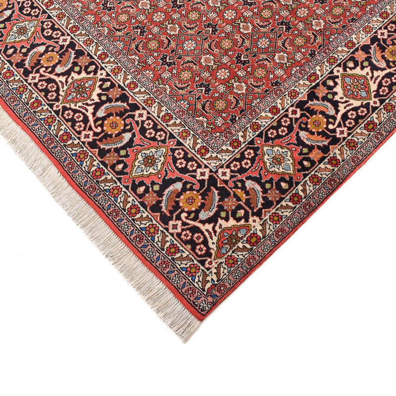 Bidjar - Zanjan Teppich 294x396cm - Perserteppich - rost