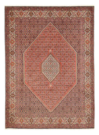 Bidjar - Zanjan Teppich 292x400cm - Perserteppich - bordeauxrot – product image