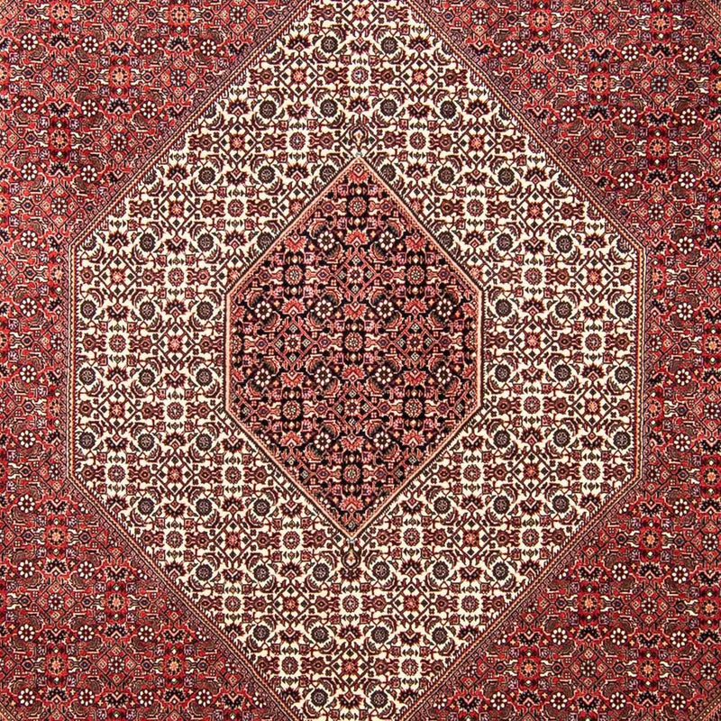 Bidjar Teppich 256x309cm - Perserteppich - dunkelrot