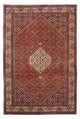 Bidjar Teppich 167x245cm - Perserteppich - braun