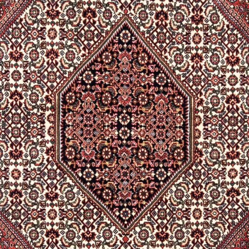 Bidjar - Takab Teppich 200x295cm - Perserteppich - rot